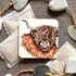 Highland Cow Coaster - HD Designs_Just Makers