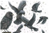 A detailed illustration of several blackbirds and crows in flight and perched poses, rendered in dark gray and black feathers with small yellow beaks, on a white background with scattered brown leaf-like specks.