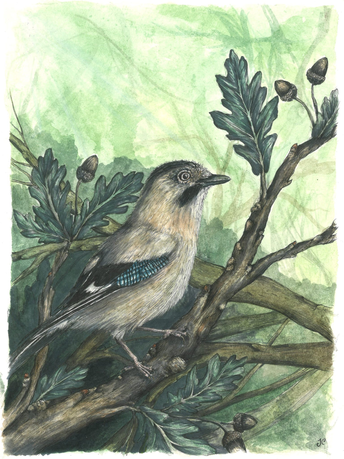 A watercolor-style illustration of a small bird perched on a tree branch with oak leaves and acorns, set against a soft green background.