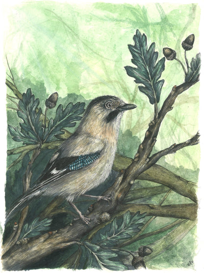 A watercolor-style illustration of a small bird perched on a tree branch with oak leaves and acorns, set against a soft green background.