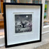 Lapwings Gather to Honour the Ancient Oak Framed Etching - Moira Mctague_Just Makers
