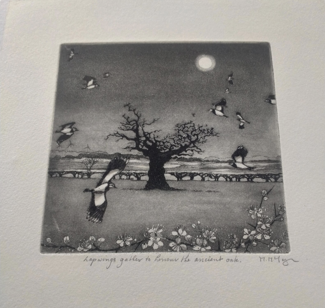 Lapwings Gather to Honour the Ancient Oak Framed Etching - Moira Mctague_Just Makers