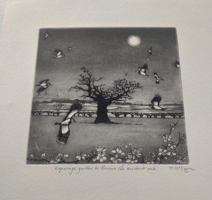 Lapwings Gather to Honour the Ancient Oak Framed Etching - Moira Mctague_Just Makers