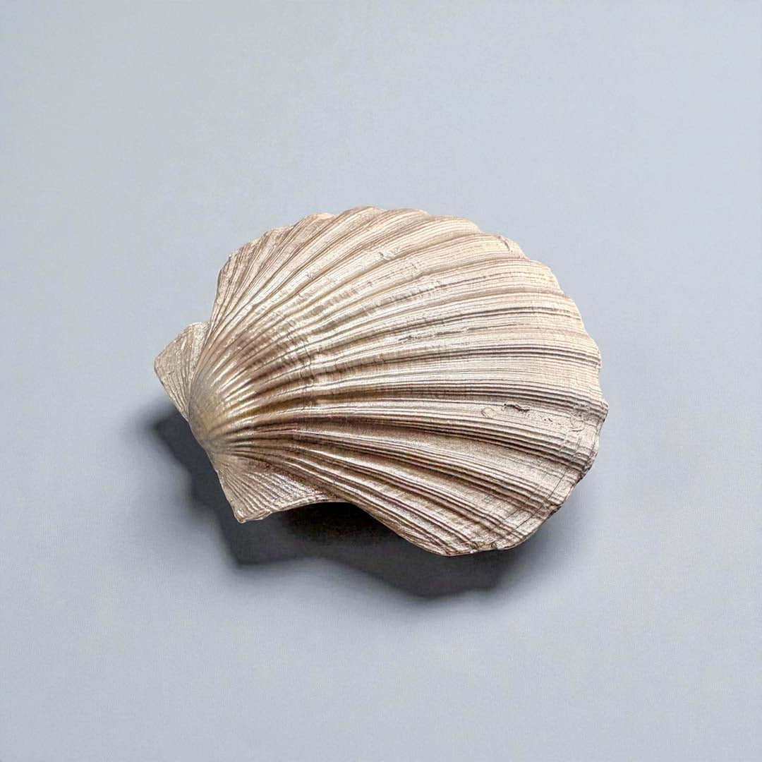 Light Green Leaves Large Shell Back - Sarah Tustin_Just Makers