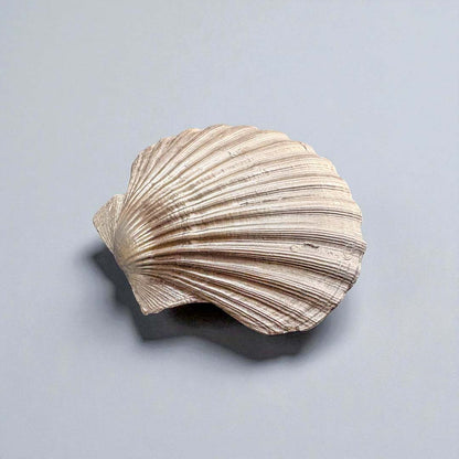 Light Green Leaves Large Shell Back - Sarah Tustin_Just Makers