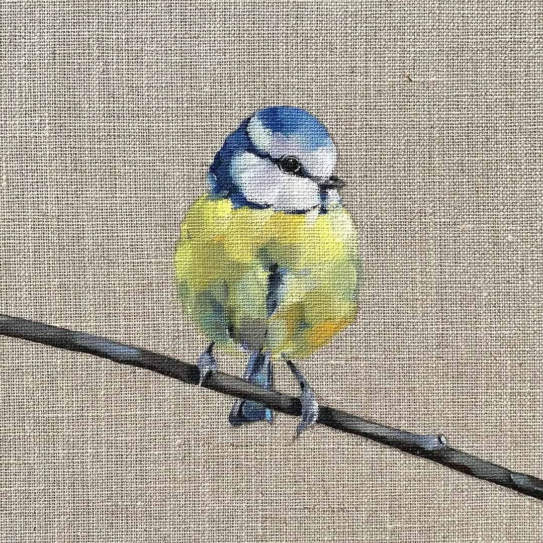Little Blue Tit Greeting Card_Just Makers