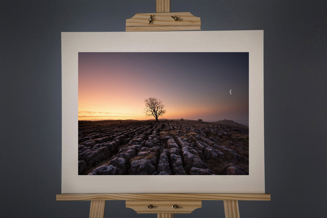 Malham Lone Tree Photograph - Paula Beaumont Adventures_Just Makers