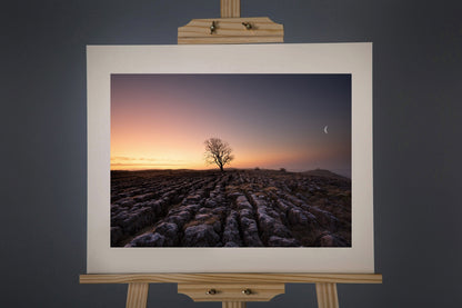 Malham Lone Tree Photograph - Paula Beaumont Adventures_Just Makers