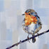 Master Robin redbreast greeting card by Katherine Whitby_Just Makers