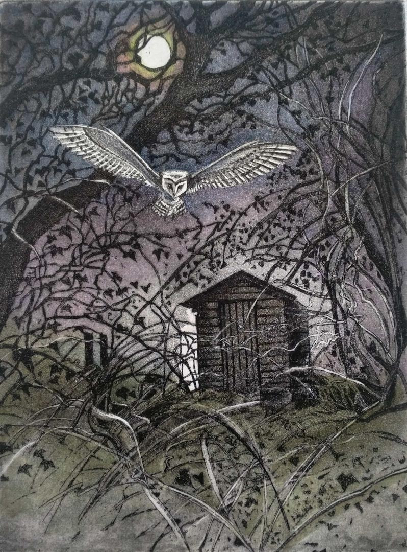 McTague_Moira_Pete_s_shed_and_the_barn_owl_._Etching_Just Makers