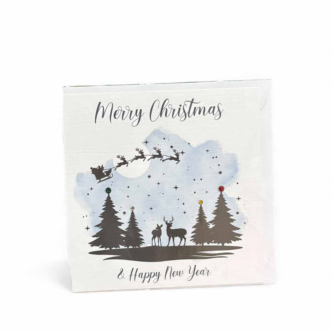 Merry Christmas Sleigh Ride Card by Bright Night Cards_Just Makers