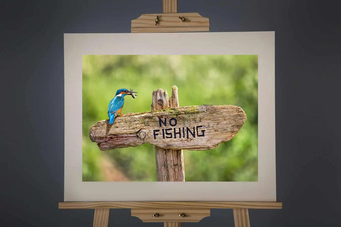 No Fisher Photograph - Paula Beaumont Adventures_Just Makers