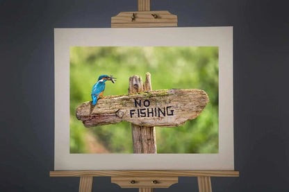 No Fisher Photograph - Paula Beaumont Adventures - Just Makers Paula Beaumont Adventures