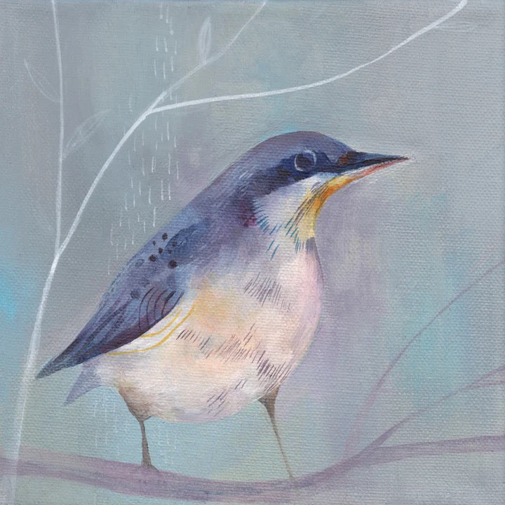 Nuthatch on Grey Giclee Print by Julia Ogden_Just Makers