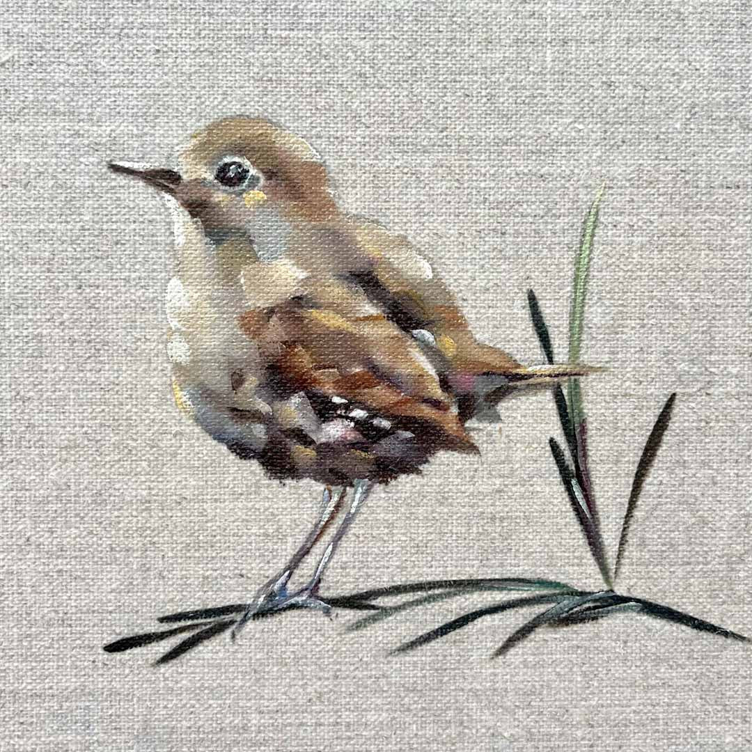 Painting Garden Birds Workshop - Just Makers Workshop