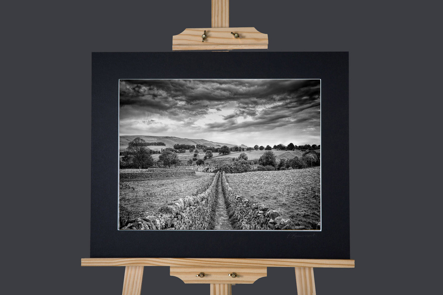 Path to Linton Falls Photograph - Paula Beaumont Adventures_Just Makers