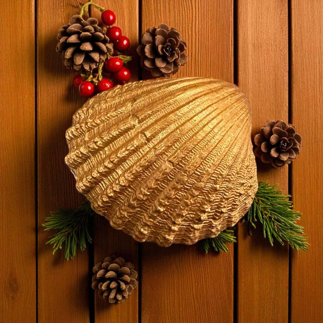 Small Christmas Robin Shell by Sarah Tustin