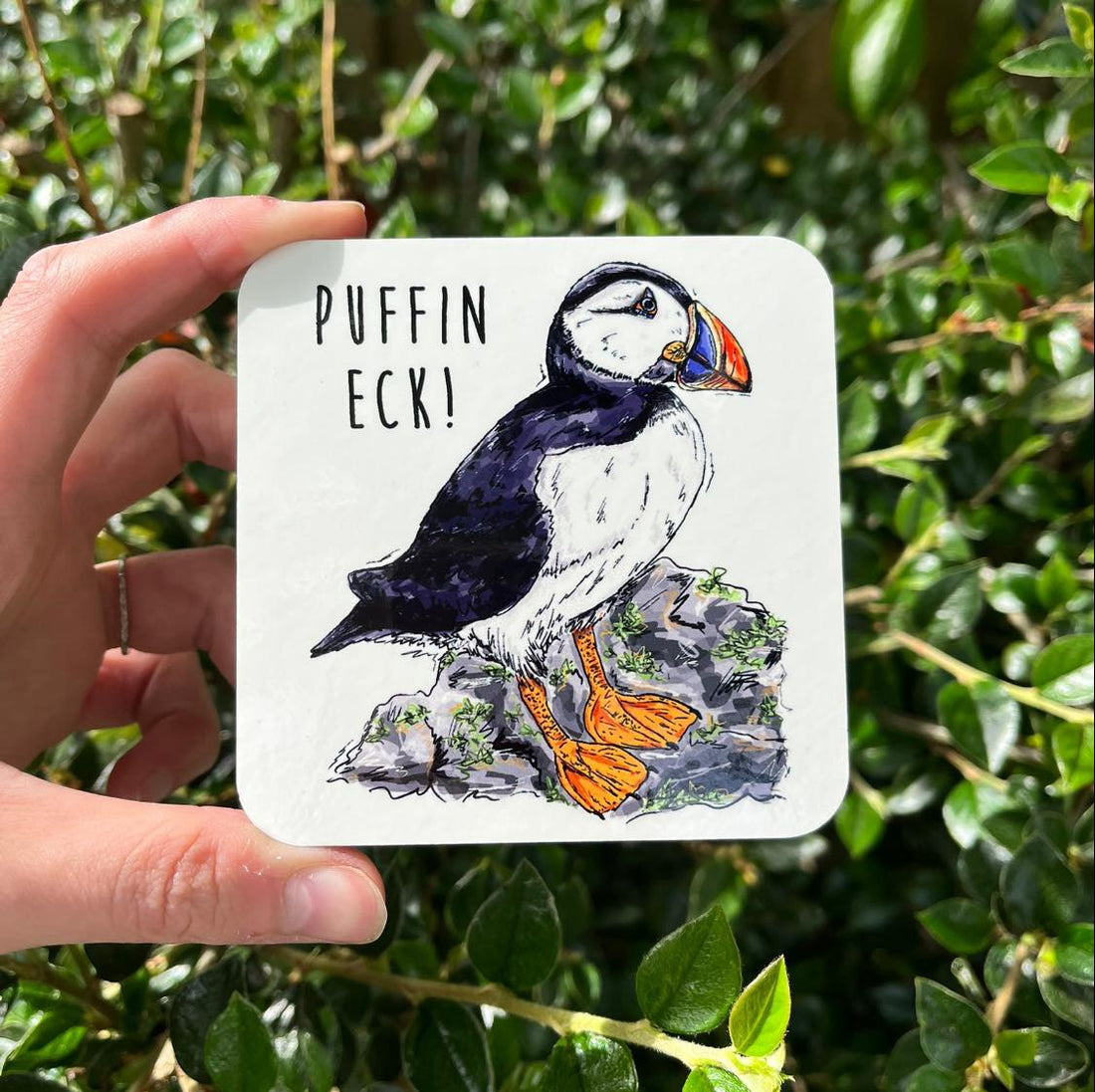 Puffin Eck Coaster - HD Designs_Just Makers