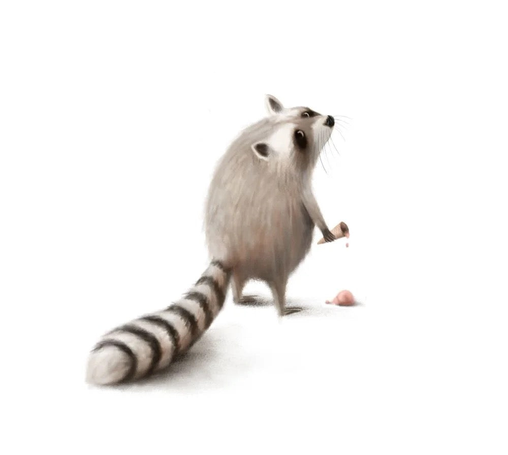 Raccoon and the Bad Bad Day Greeting Card Demelsa Haughton_Just Makers