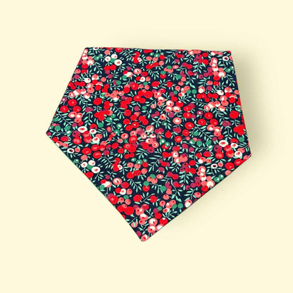 Red Berry Dribble Bib - Jumplings Clothes_Just Makers
