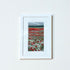 Scarlet Haze Embroidered Giclee Print - Fiona Robertson_Just Makers