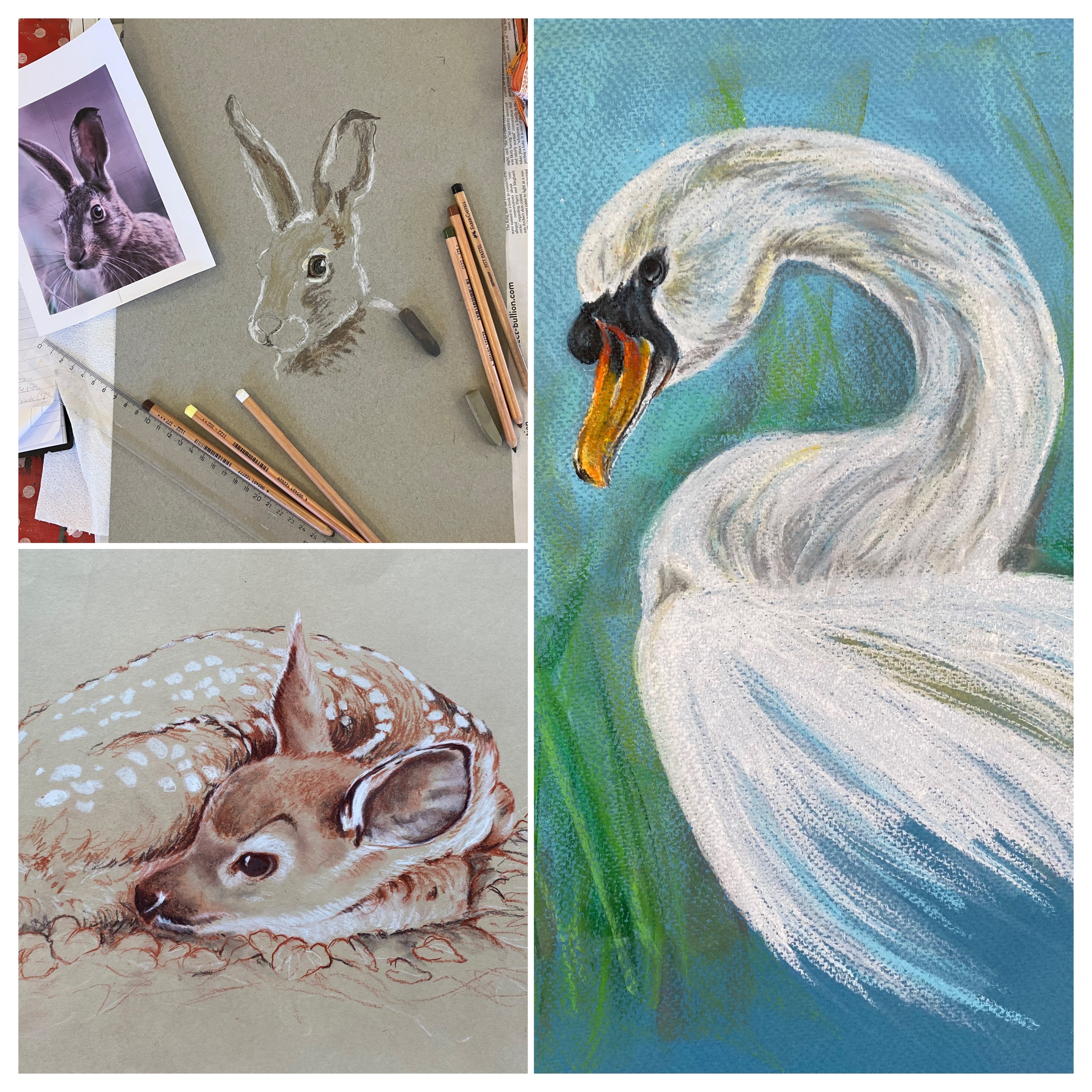 A three-panel collage showing artwork: a pastel rabbit drawing with pencils and a reference photo in the top left, a painted white swan with blue-green background in the top right, and a painted fawn in the bottom left.