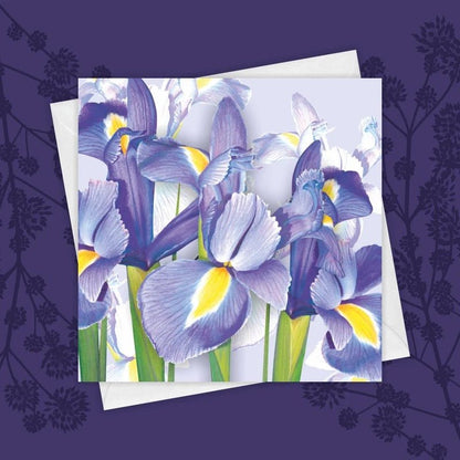 Springtime Irises Greeting Card by Fiona Calder - Just Makers Fiona Calder Designs
