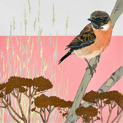Stonechat Greeting Card - Umbellifer_Just Makers