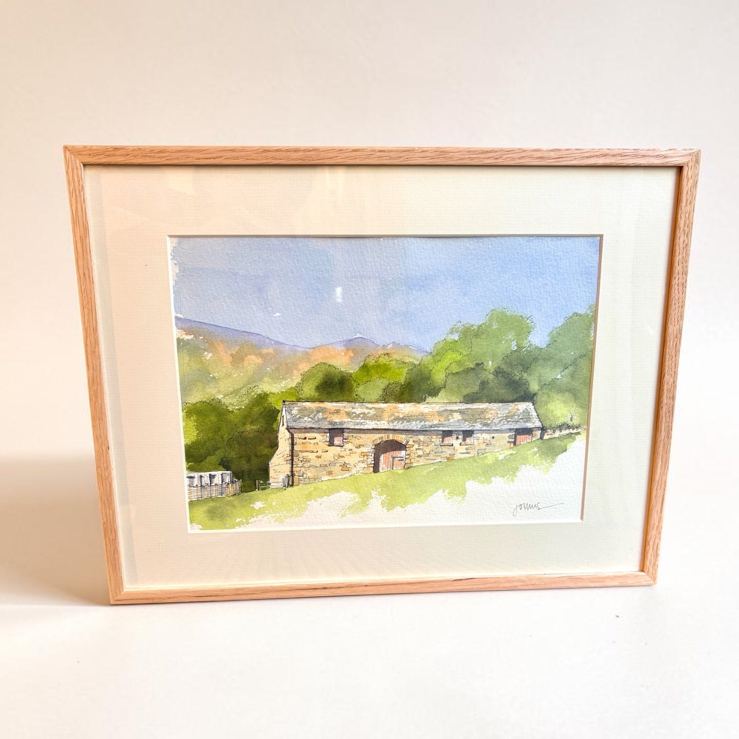 Swaledale Cow&
