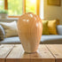 Tall Beech Hollow Form Vase - Mike Bentley_Just Makers