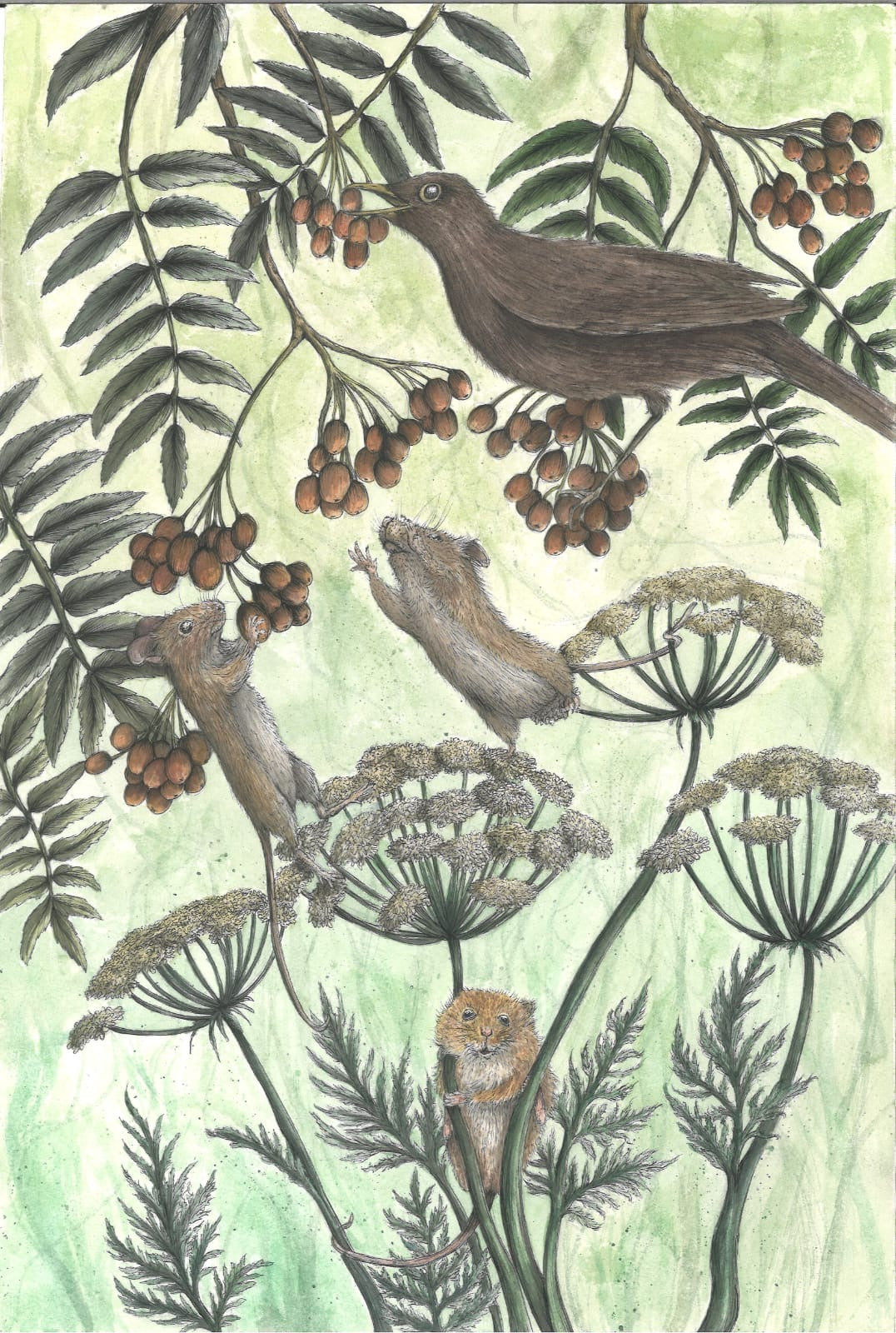 Illustration of birds and plants on a green background