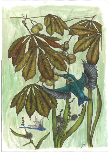 A botanical art print featuring a kingfisher perched on a leafy branch with chestnuts, alongside a dragonfly, set against a textured light green background.