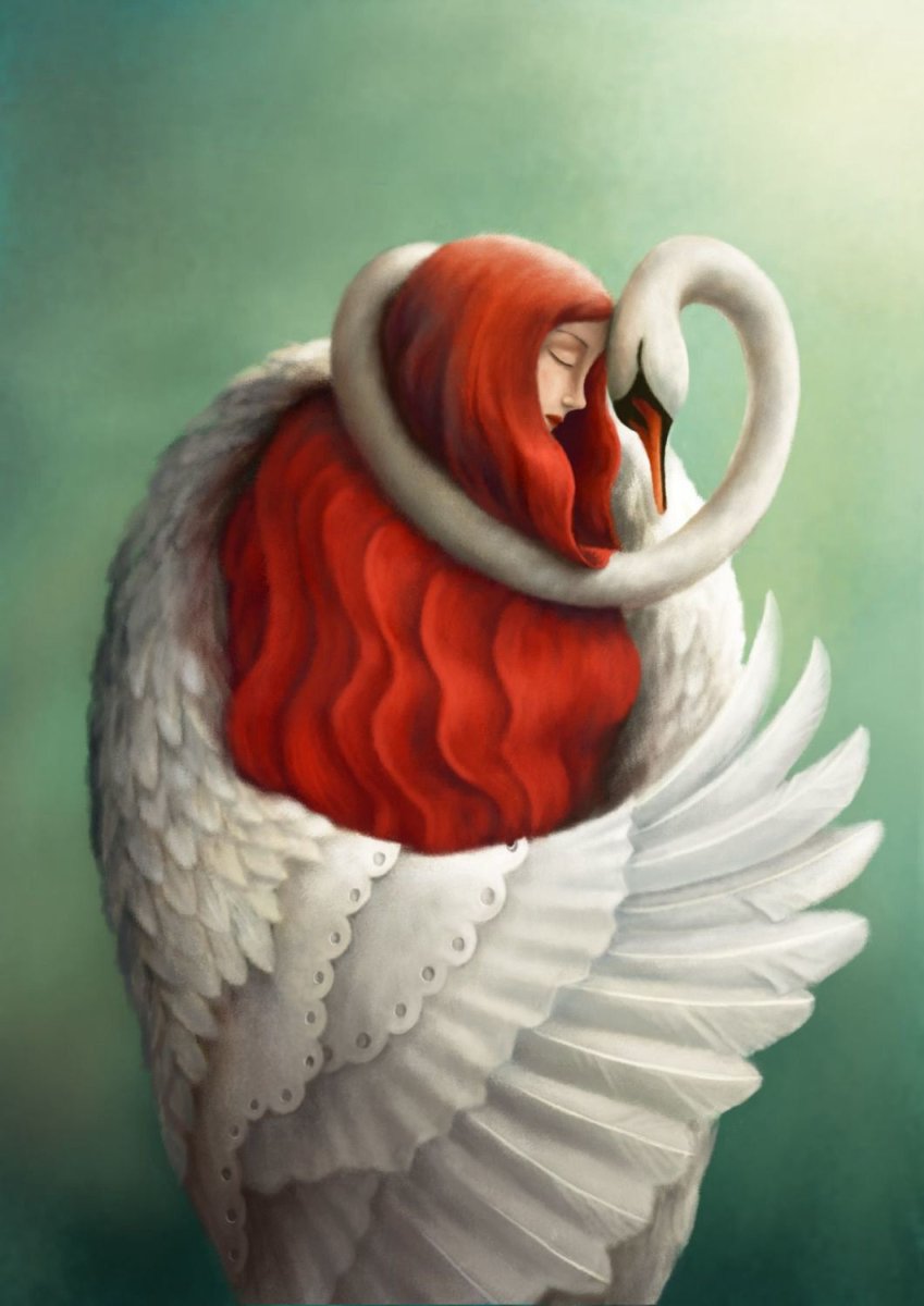 The Mute Swan Greeting Card Demelsa Haughton - Just Makers Demelsa Haughton Illustration