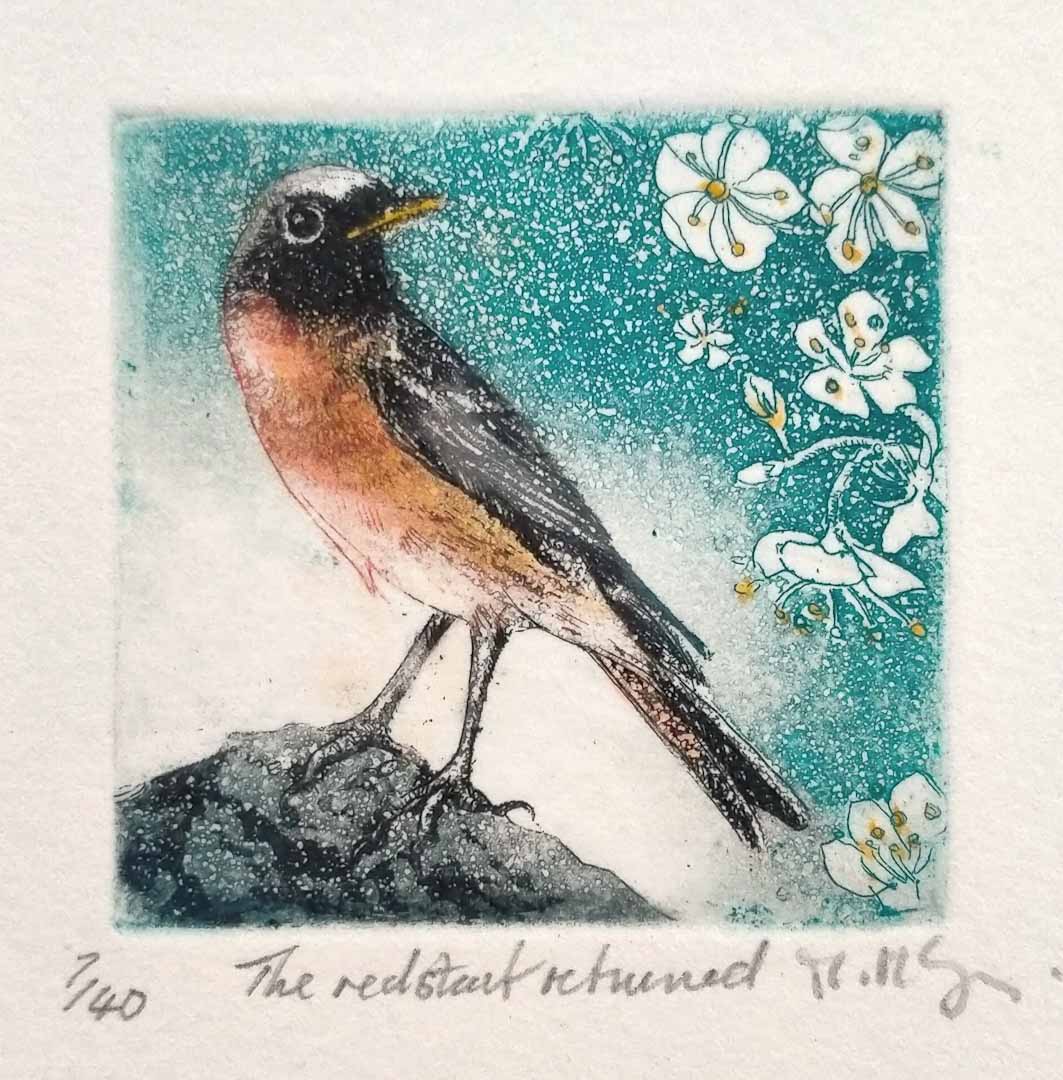 The Redstart Returned Etching - Moira Mctague_Just Makers