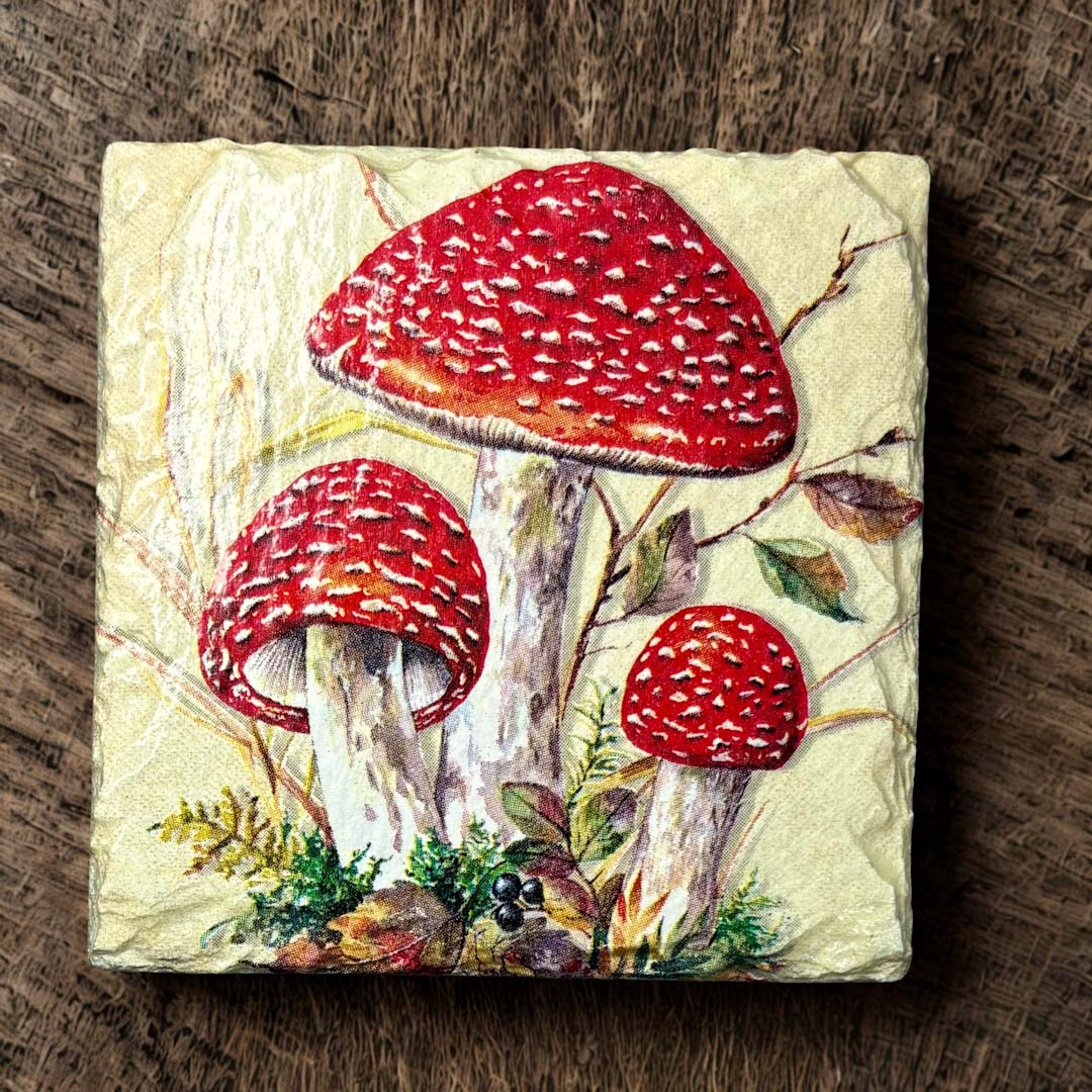 Toadstool Coaster Slate - Sarah Tustin_Just Makers
