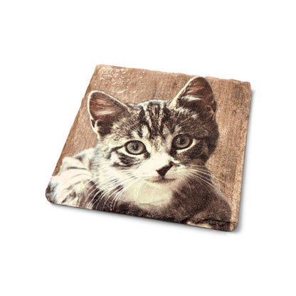 Tortoise Shell Cat Coaster Slate - Sarah Tustin_Just Makers