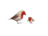 Tweet Tweet Greeting Card - Demelsa Haughton_Just Makers