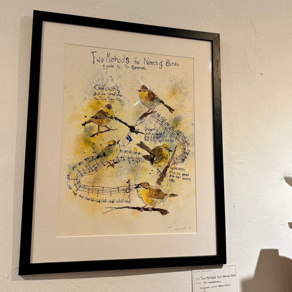 Two Methods for Naming Birds Original Artwork - Tim Gomersall Art_Just Makers