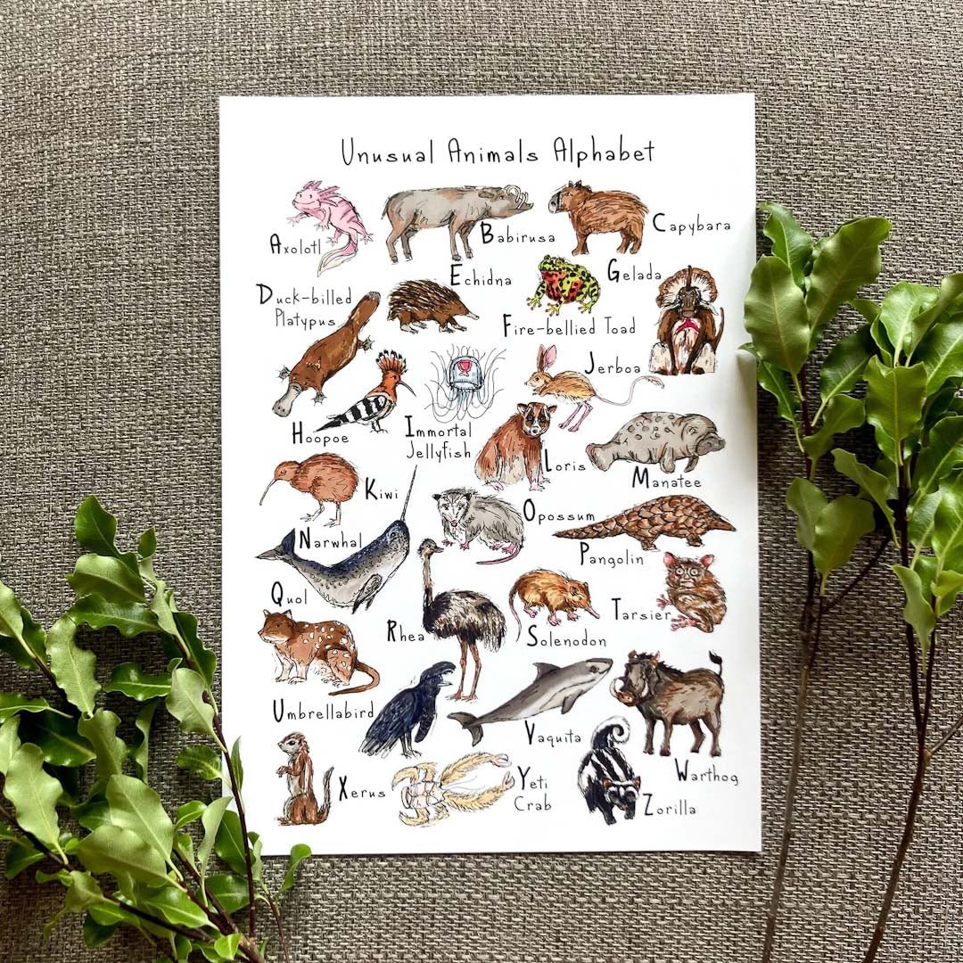 Unusual Animals Print - HD Designs - Just Makers HD Designs