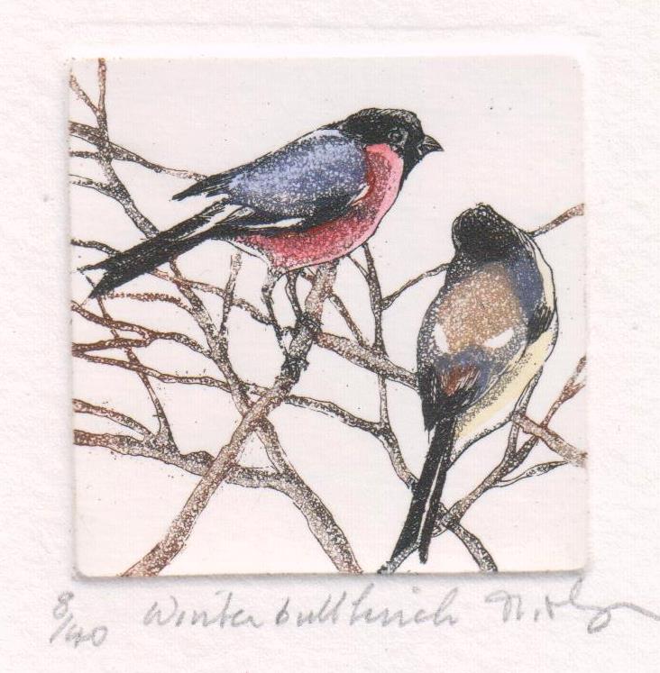 Winter Bullfinch Etching - Moira Mctague_Just Makers
