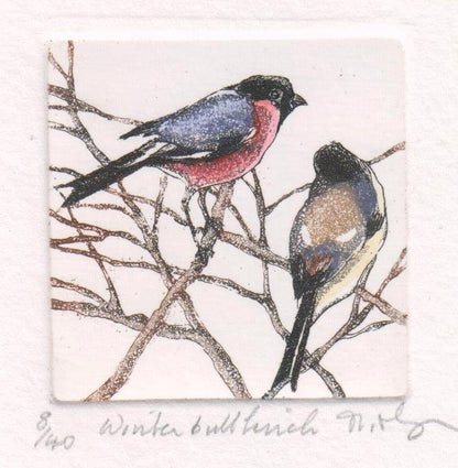 Winter Bullfinch Etching - Moira Mctague_Just Makers