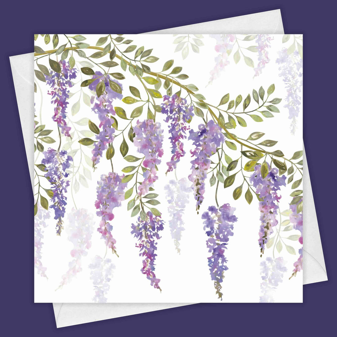 Wisteria Blossoms Greeting Card by Fiona Calder_Just Makers