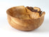 Wych Elm Natural Edge Bowl - Mike Bentley_Just Makers