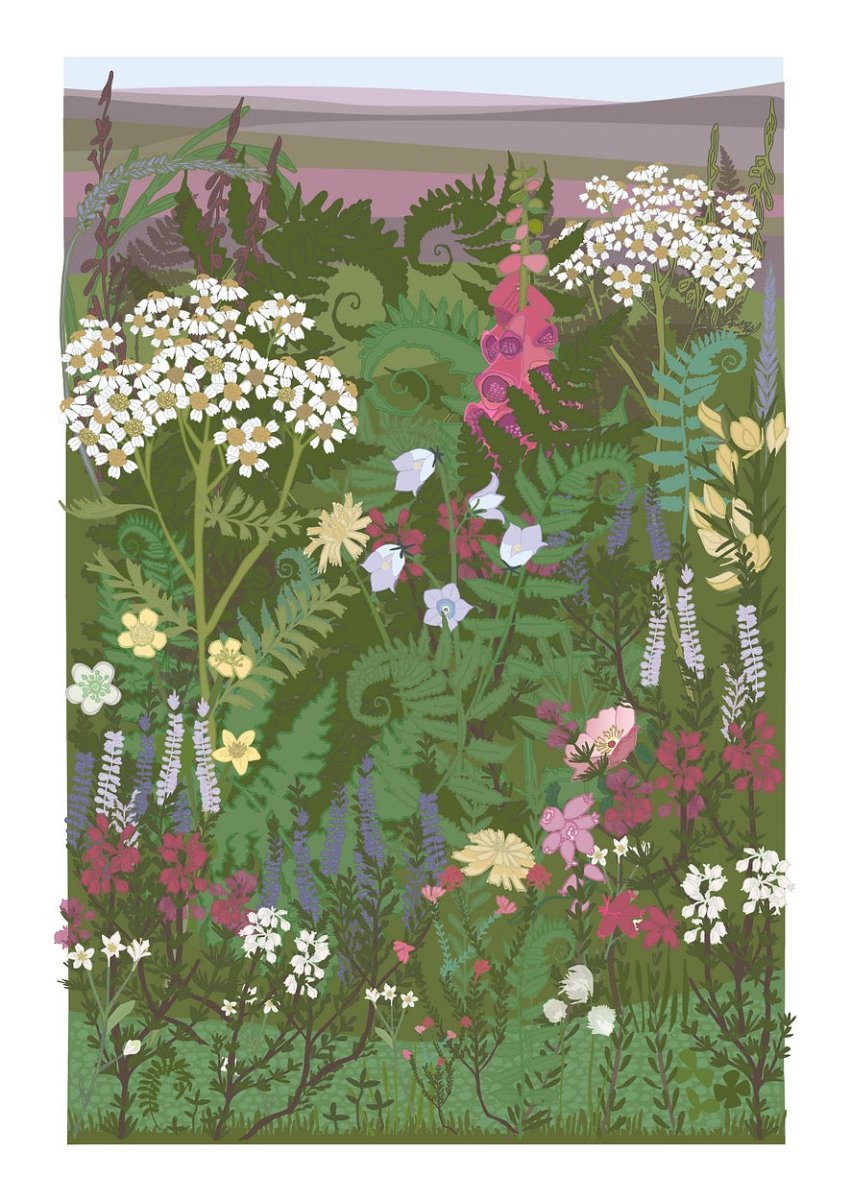 A Yorkshire Moor Mounted Print - Jane Gales - Just Makers Jane Gales
