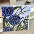 Aliums Greeting Card - Rachel Knowles_Just Makers