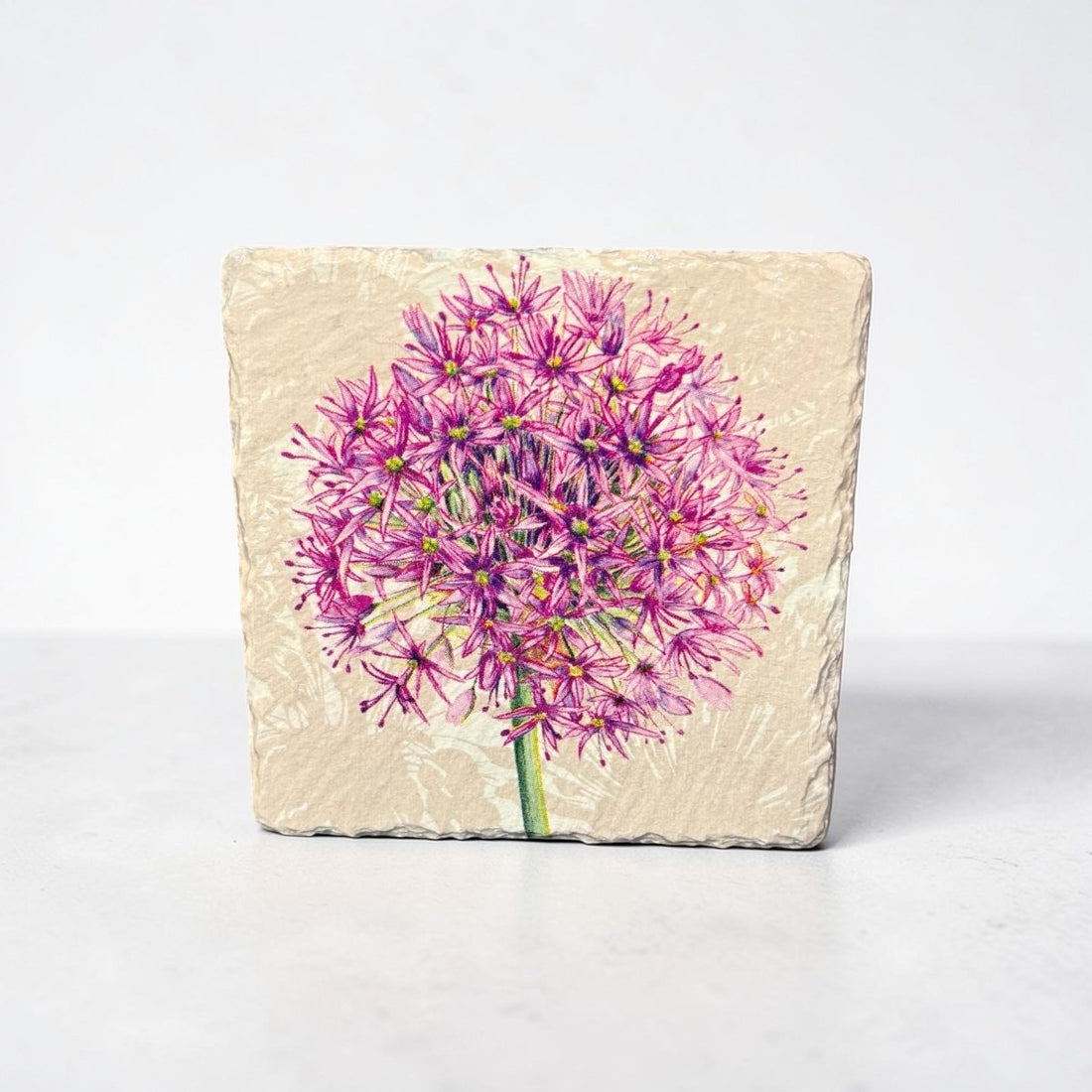 Allium Head Coaster Slate - Sarah Tustin_Just Makers