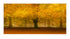Autumn scene with a tree covered in yellow leaves