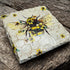Bee Coaster Slate - Sarah Tustin_Just Makers