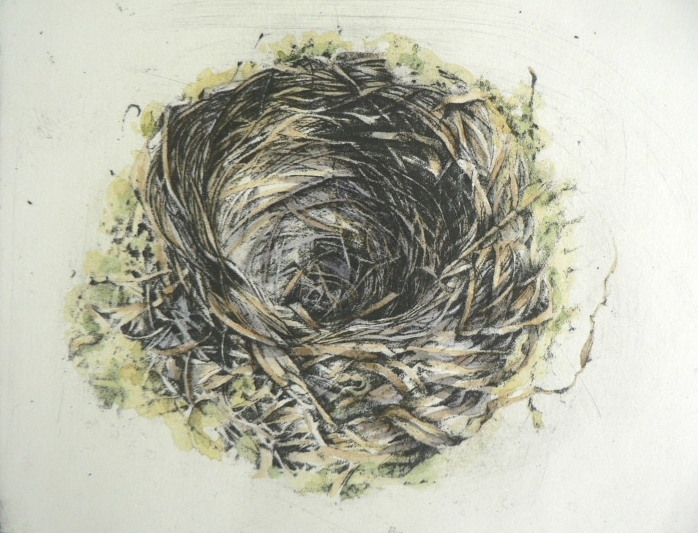 Blackbird Nest Framed Etching - Moira Mctague_Just Makers