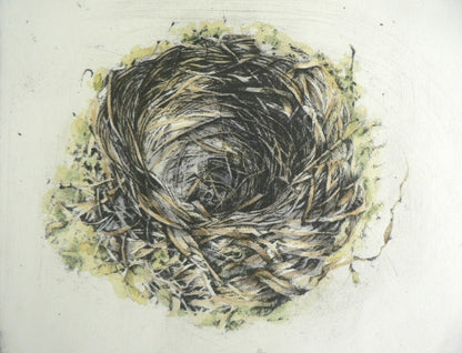 Blackbird Nest Framed Etching - Moira Mctague_Just Makers